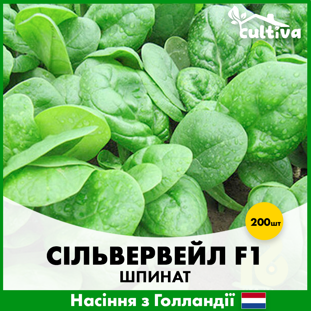 Насіння шпинату Rijk Zwaan Сільвервейл F1 200 шт. (00378)