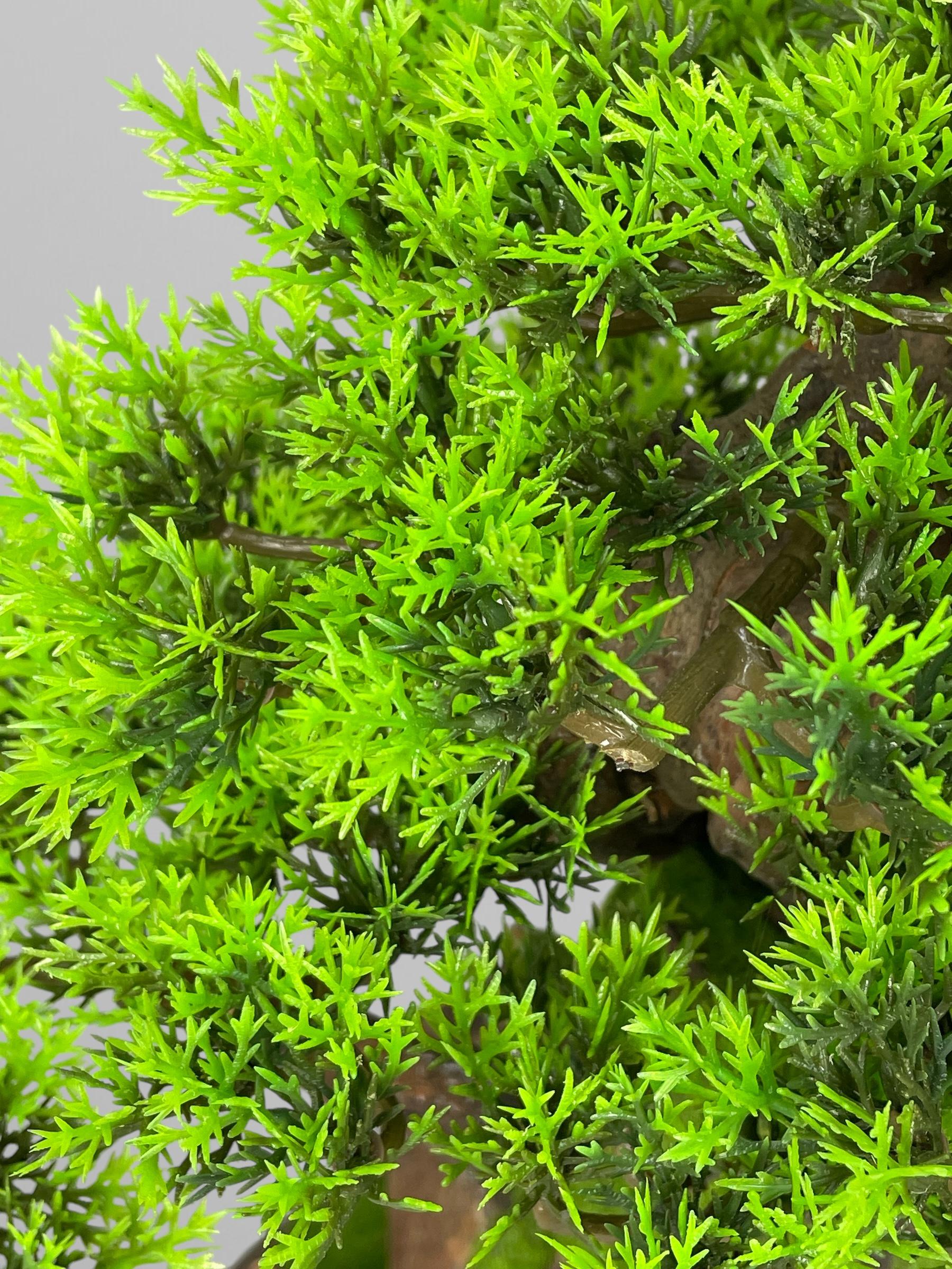 Бонсай 45 см Зеленый (Б009) - фото 4 Бонсай 45 см Зеленый (Б009) - фото 4