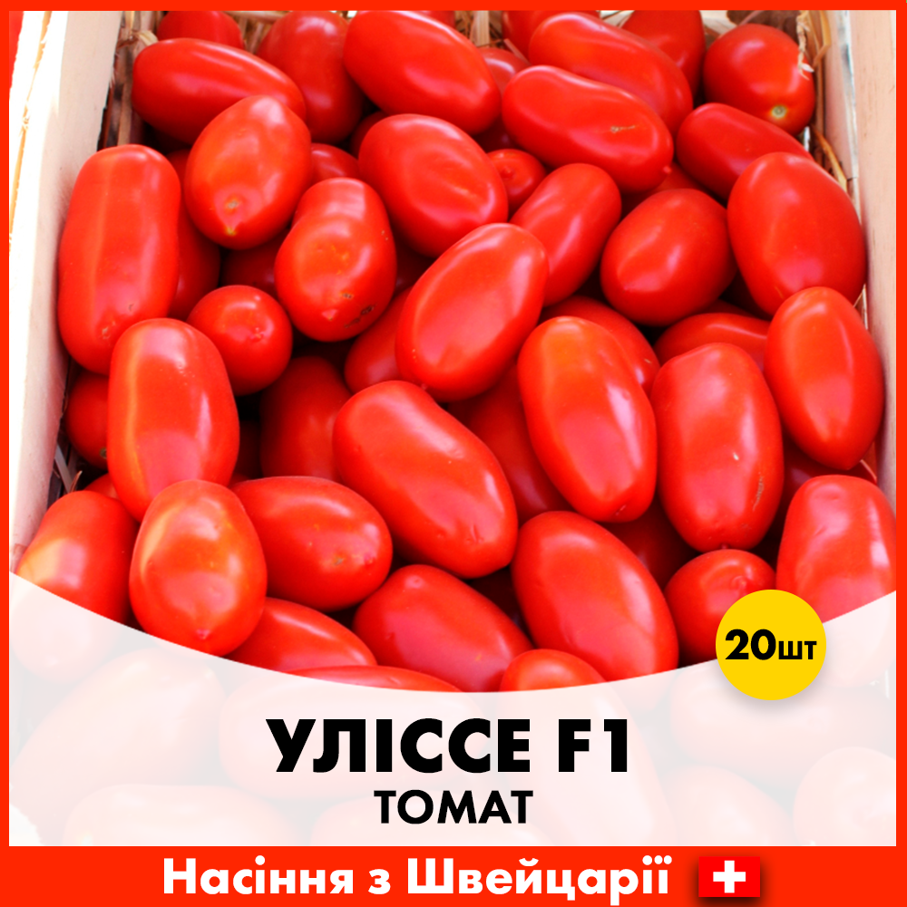 Семена томата Syngenta Улиссе F1 20 шт. (R50206)