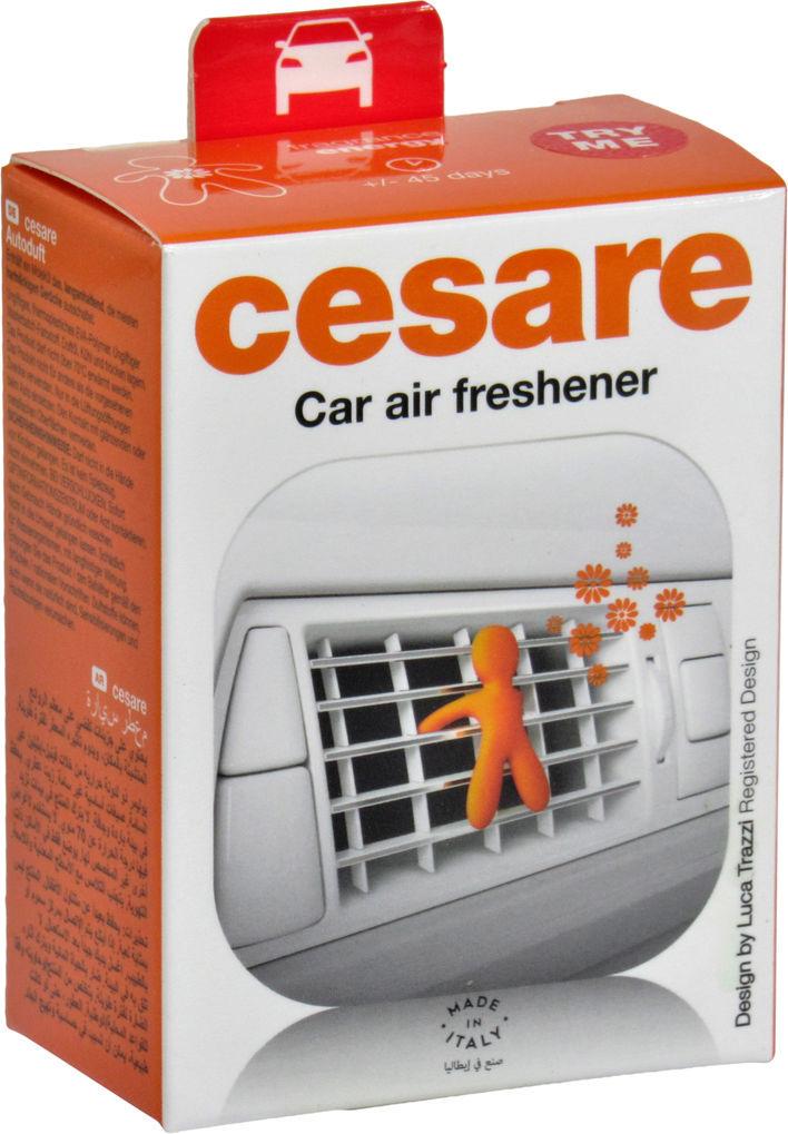 Ароматизатор Mr&Mrs Cesare BOX Energy JCES005V01