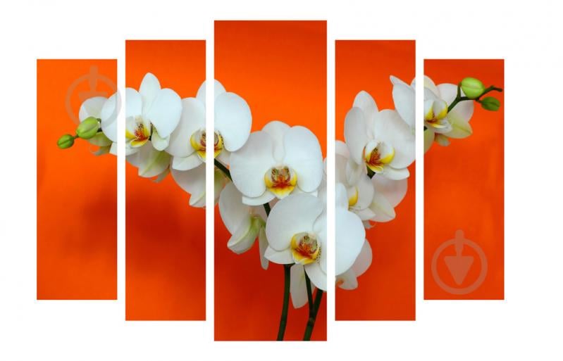 Модульная картина Декор Карпаты 120х80 см Белые Орхидеи (M5-С-4)