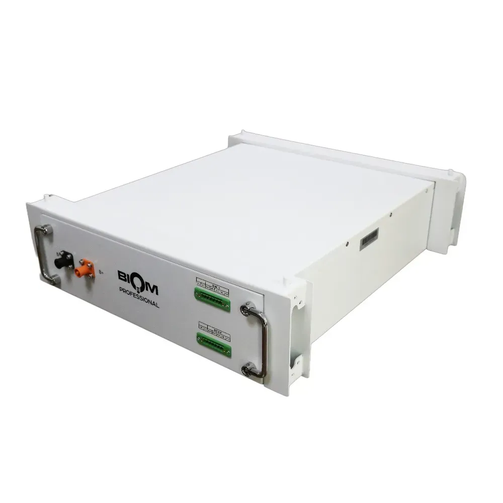 Аккумуляторная батарея Biom Professional BAHV-100512-LFP LiFePO4 5,12 кВт·ч 51,2V White (33148644)