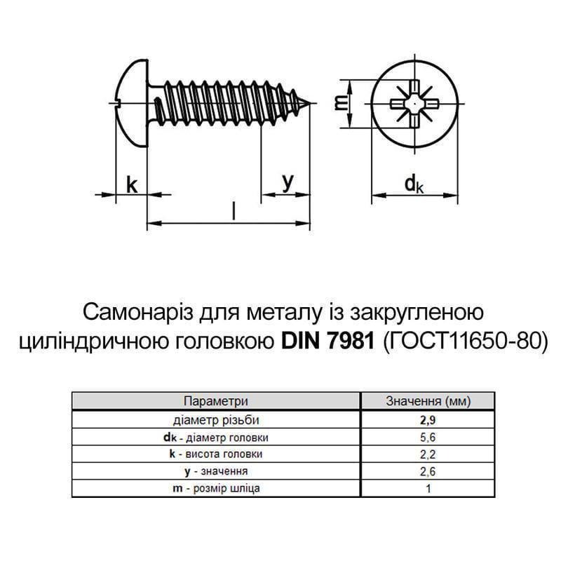 Саморез Metalvis DIN7981 2,9х4,5 PH1 полная резьба полукруглая головка белый цинк 1000 шт. (805200000805290420) - фото 2