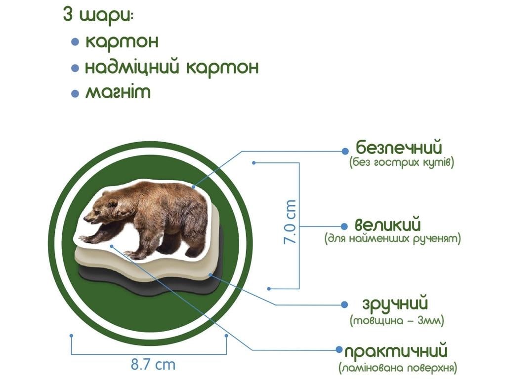 Набір магнітів Лісові тварини Magdum ML4031-29 EN Forest animals magnets (4112) - фото 2 Набір магнітів Лісові тварини Magdum ML4031-29 EN Forest animals magnets (4112) - фото 2