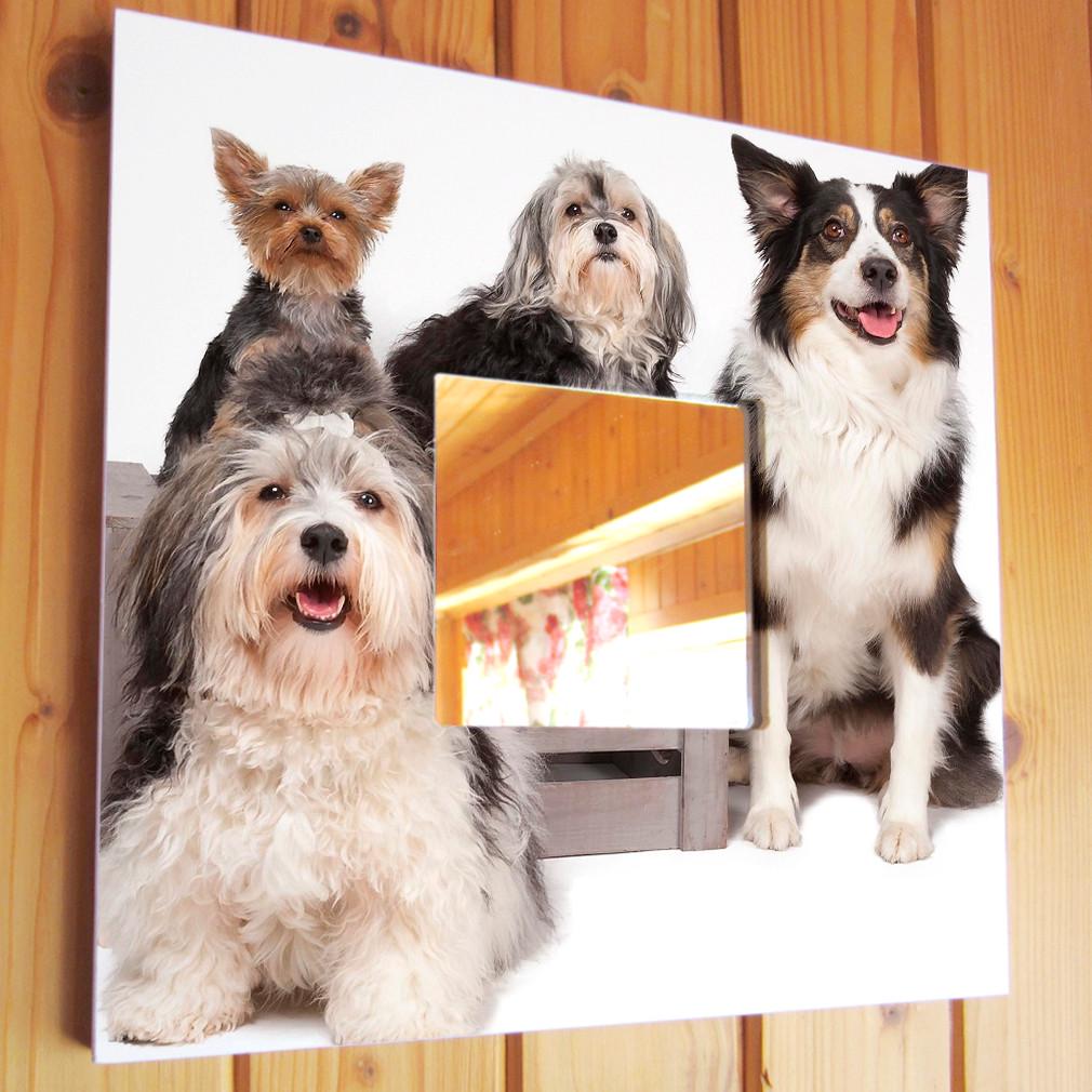 Зеркало декоративное Собачья компания 260х260 мм (M03730)