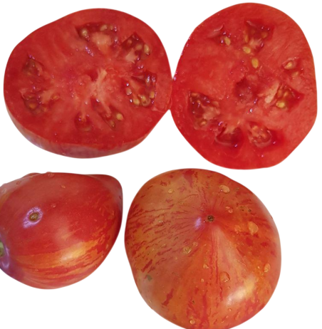 Семена помидоров Хамелеон 30 шт. (2976617545)