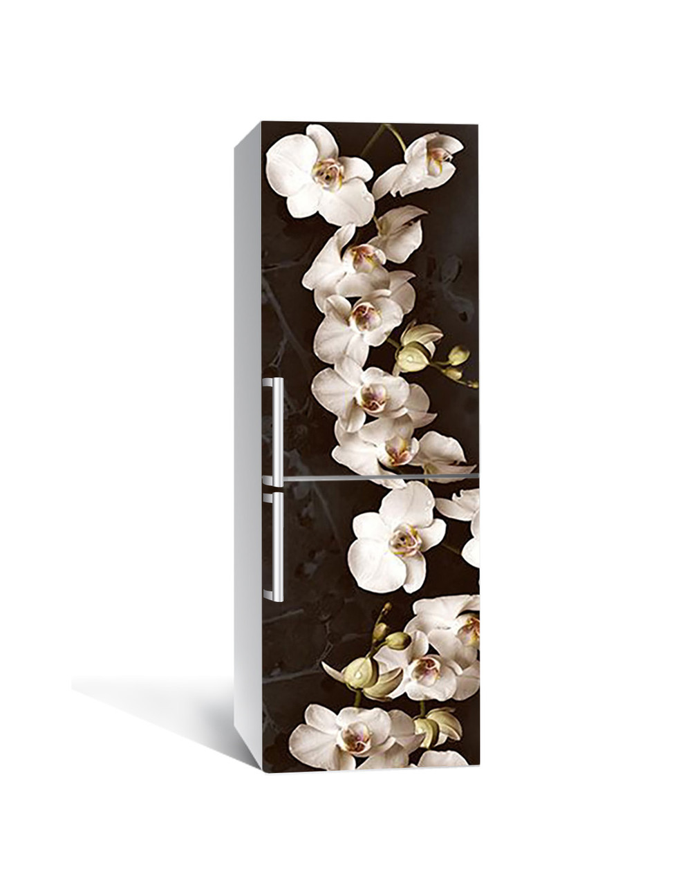Наклейка 3D на холодильник Zatarga Царство белой орхидеи 650х2000 мм (1323453465)