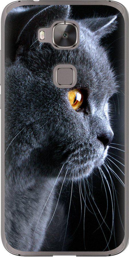 Чехол на Huawei G8 Красивый кот (3038u-493-42517)