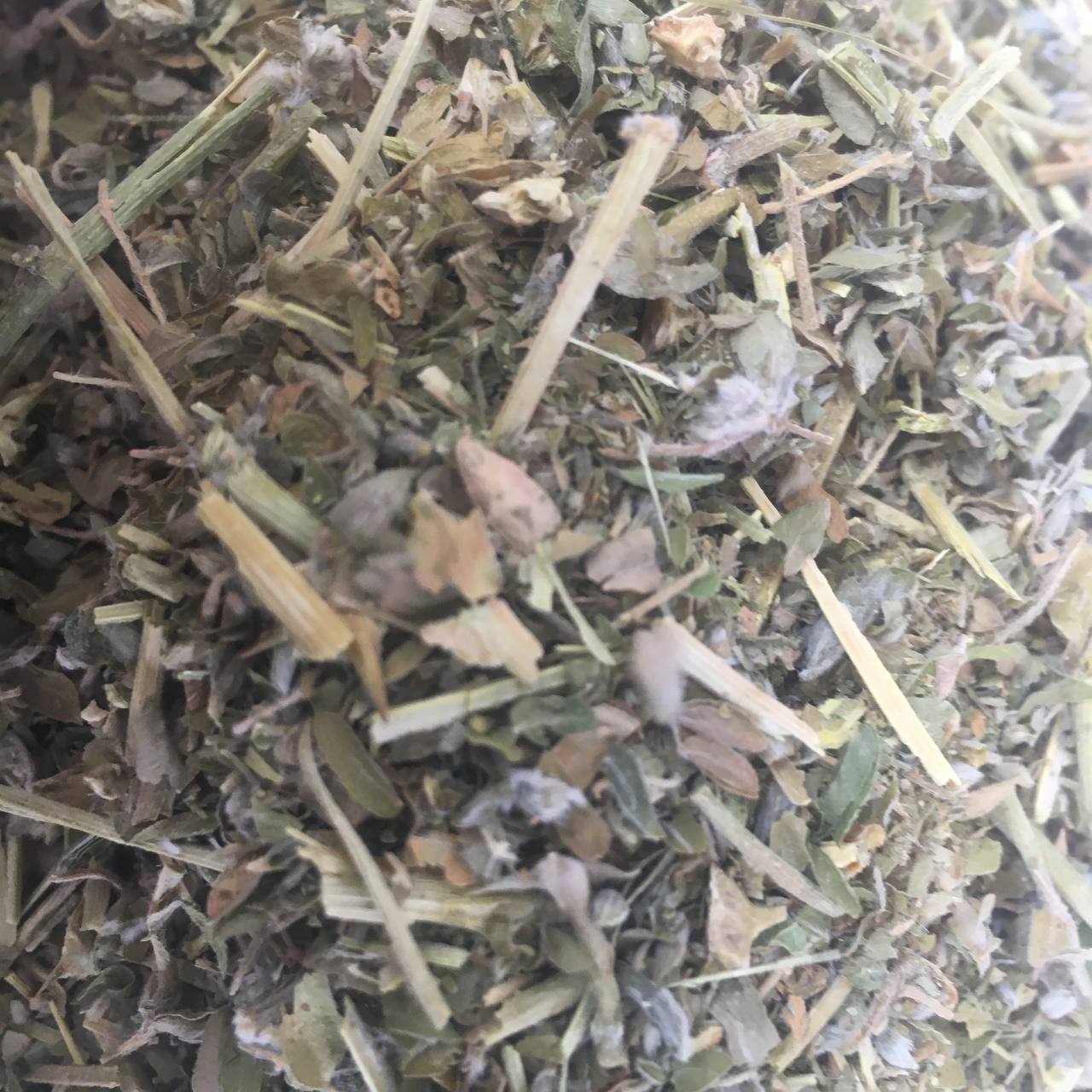 Якорцы стелющиеся Трибулус Карпаты 50 г (62a21475e77688115c2c7002) - фото 2