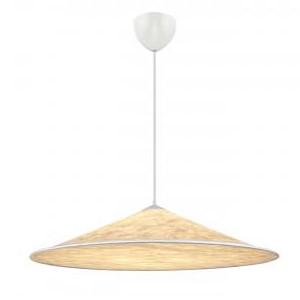 Светильник подвесной DFTP 2220103060 Hill (11499002) - фото 2 Светильник подвесной DFTP 2220103060 Hill (11499002) - фото 2