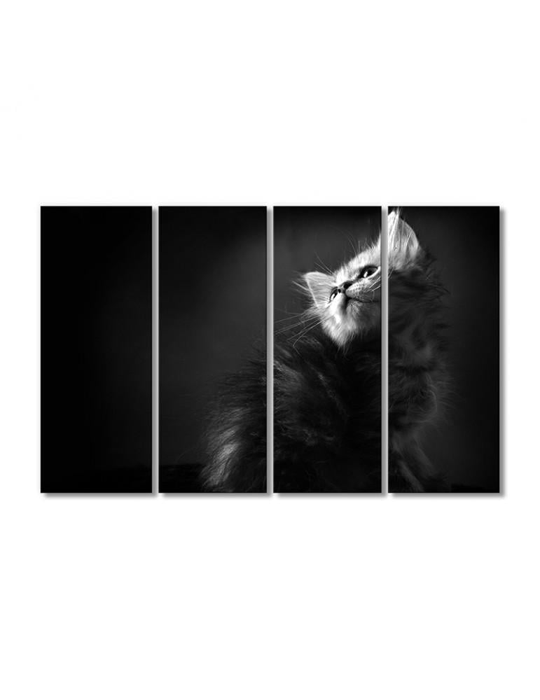 Картина модульная Пушистый котенок 4 модуля 80x120 см (184438ZHivotnye0008)