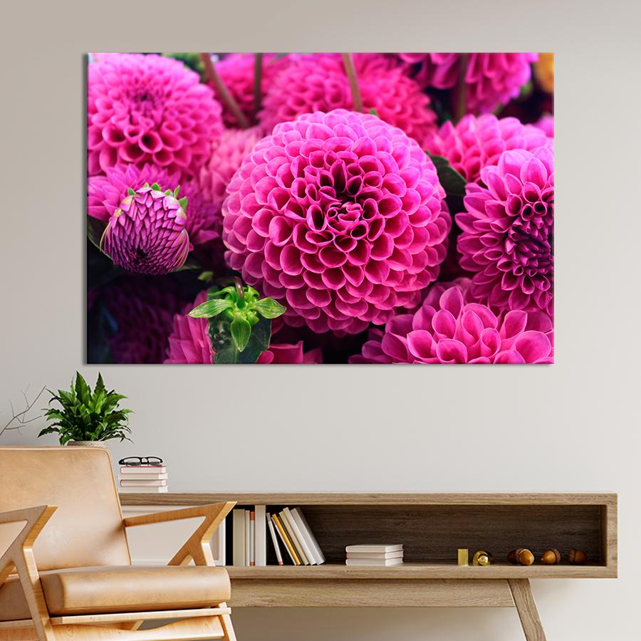 Картина цветы и растения Розовые георгины 80x54 см (A1025-1)