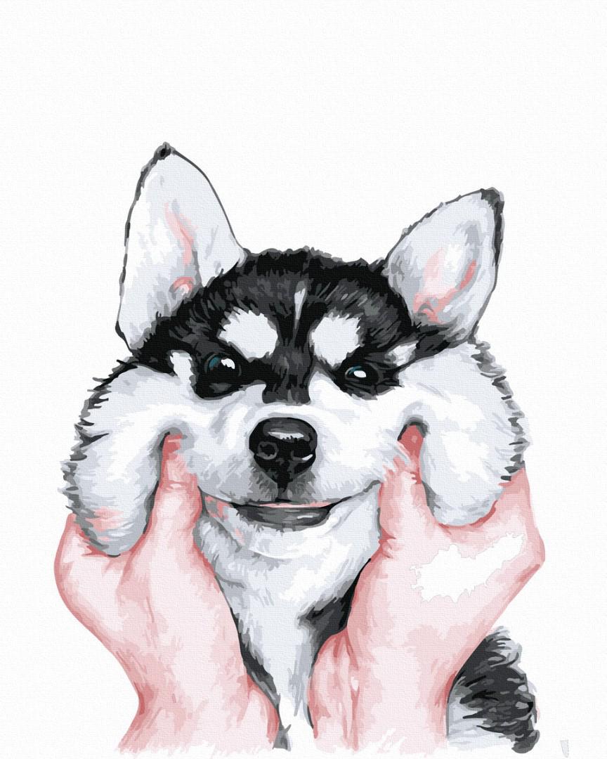 Картина по номерам Brushme Пухлые щечки Хаски 40x50 см (GT66020) Картина по номерам Brushme Пухлые щечки Хаски 40x50 см (GT66020)