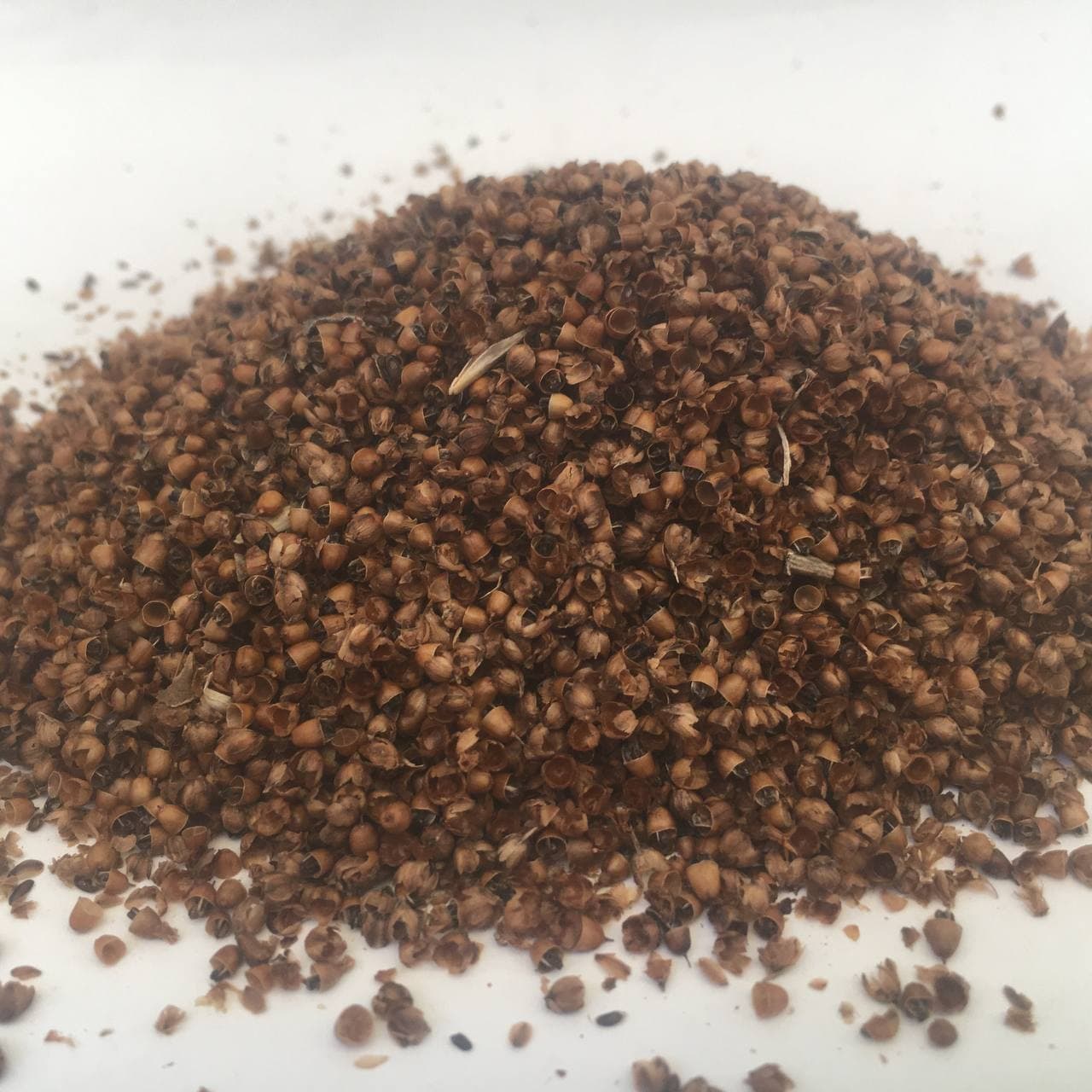 Подорожник семена Карпаты 50 г (61a7833c15fffb1a1e361b92)