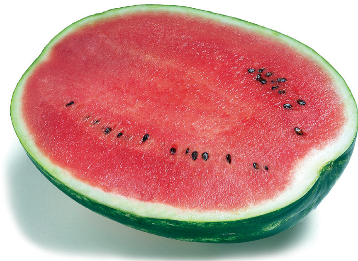 Семена Арбуз Топ Ган F1 Syngenta ТД Гекса-Украина 01-01-022 1000 шт. проф упаковка (IR02338)