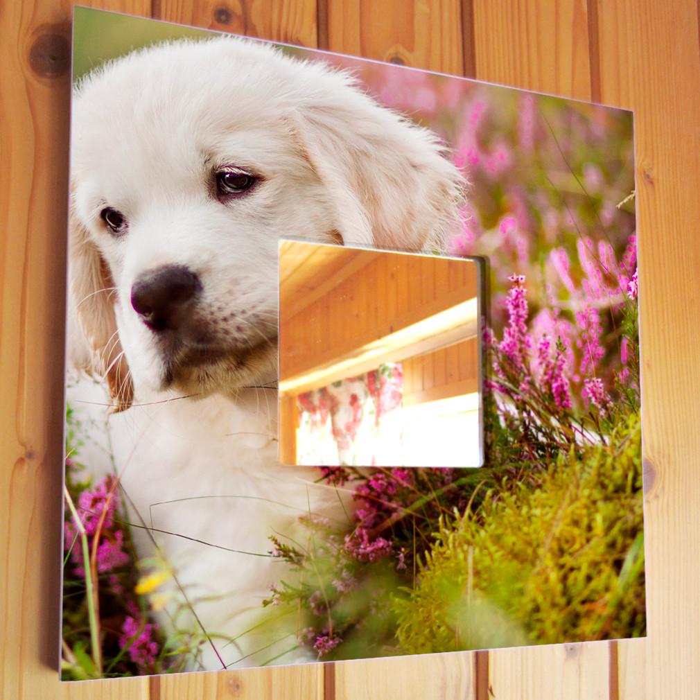 Зеркало декоративное Золотой ретривер 260х260 мм (M03734)