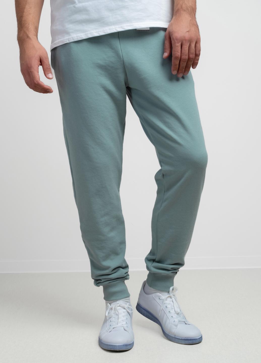 Спортивные штаны мужские Power 344324 L Голубой (344324_L)