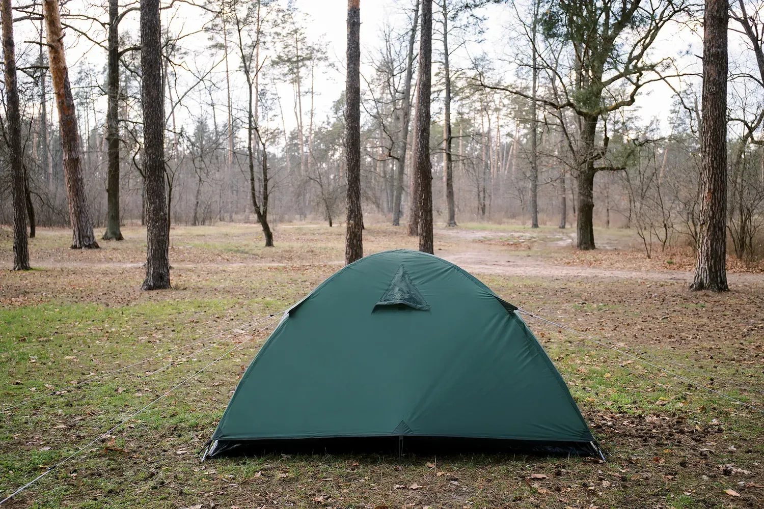 Палатка Totem Trek 2 v2 Зеленая (UTTT-021) - фото 4 Палатка Totem Trek 2 v2 Зеленая (UTTT-021) - фото 4