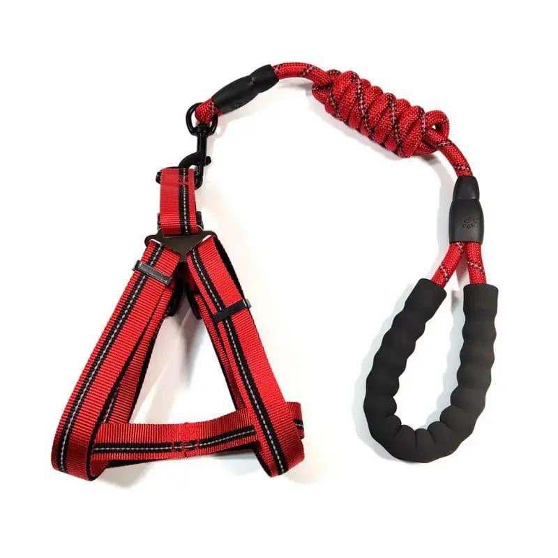 Шлейка с поводком для маленьких собак и кошек KALYU S Красный (shleyka.S.red)