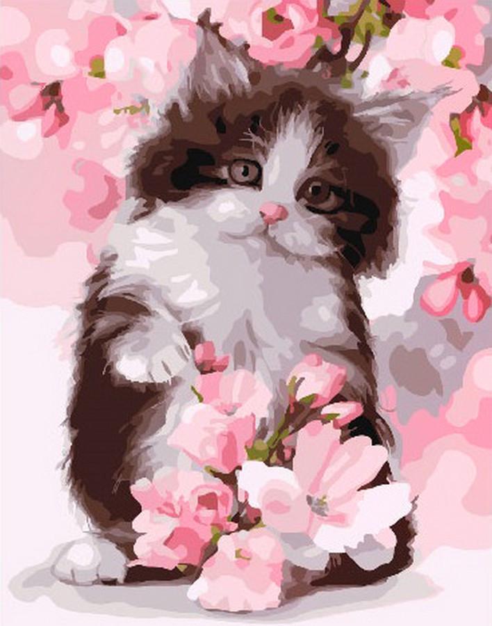 Картина по номерам Rainbow Art Котик в розовом цвету (GX24603-RA)