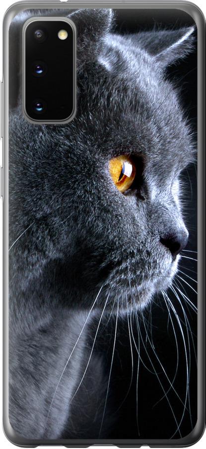 Чехол на Samsung Galaxy S20 Красивый кот (3038u-1824-42517)