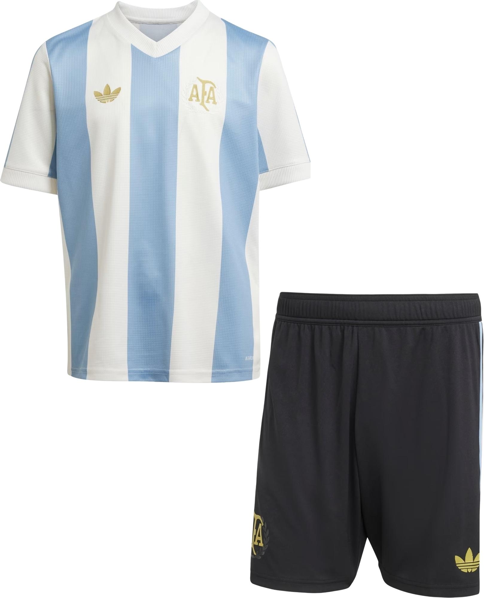 Футбольная форма детская сборной Аргентины 2024-2025 юбилейная F0128 125-135 см Голубовато-черный (47923-383)