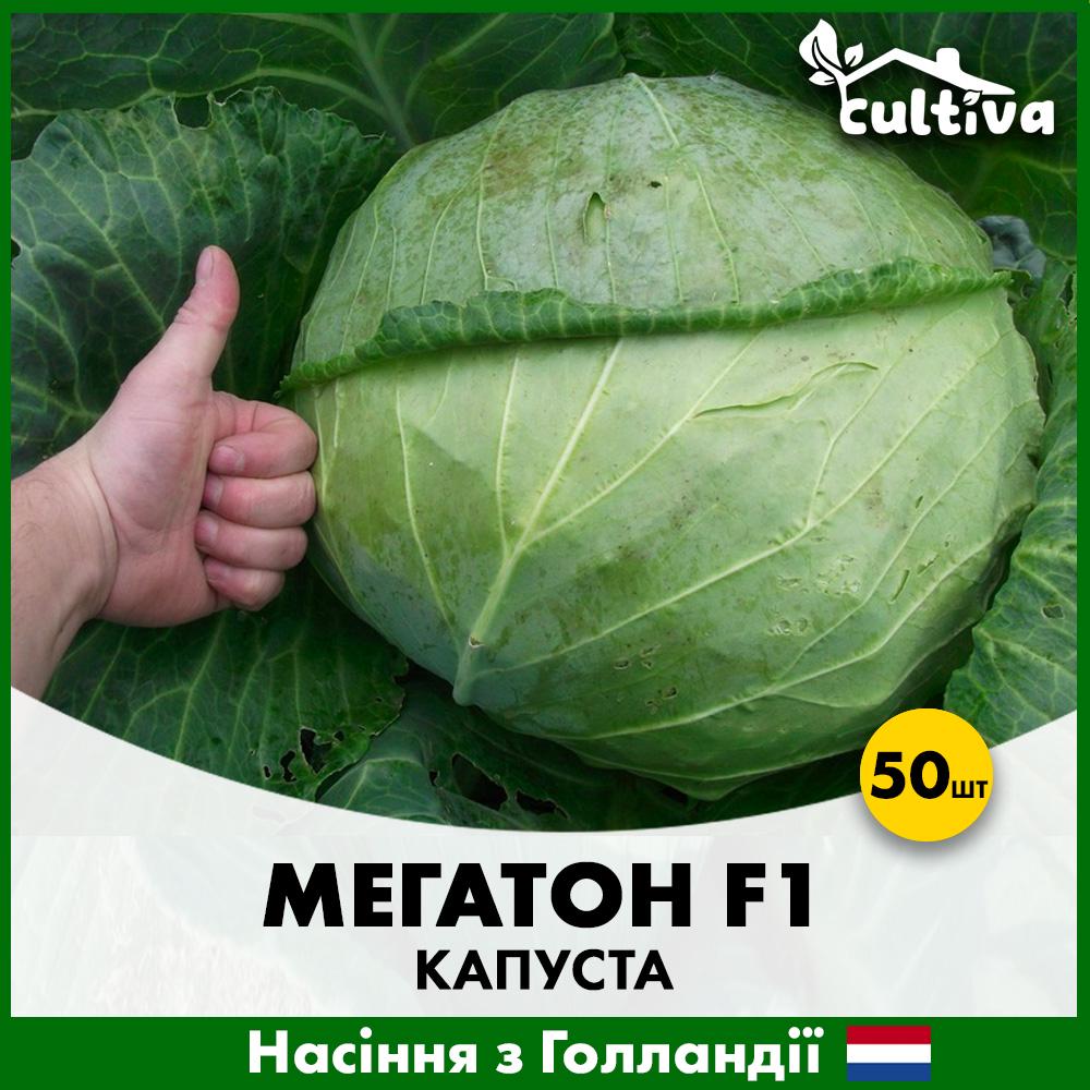 Семена капусты Bejo Белоголова Мегатон F1 50 шт. (00149-50)