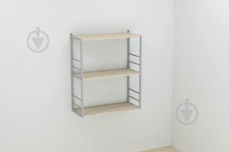 Книжная полка универсальная Ferrum-decor Стим 2 74x63x26 серый ДСП Дуб Сонома 16мм (XK00052)