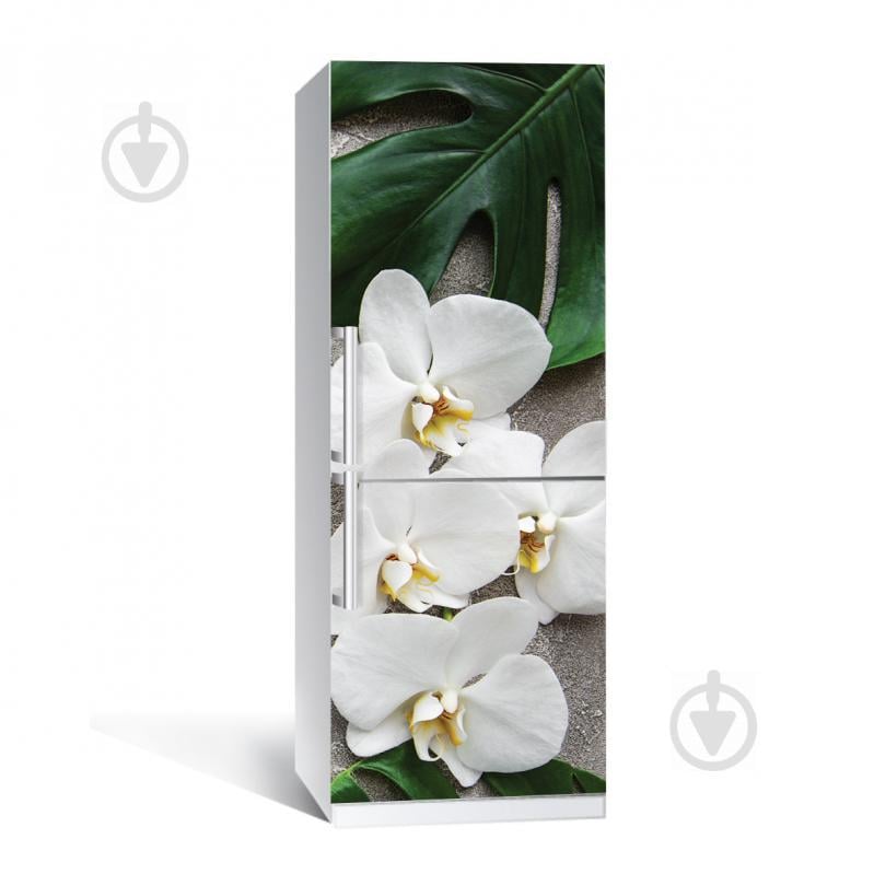 Наклейка на холодильник Zatarga Листя монстери 650х2000 мм Зелений (z180214)