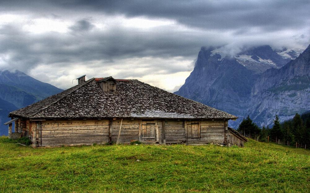 Картина Природа PR155 35х55 см