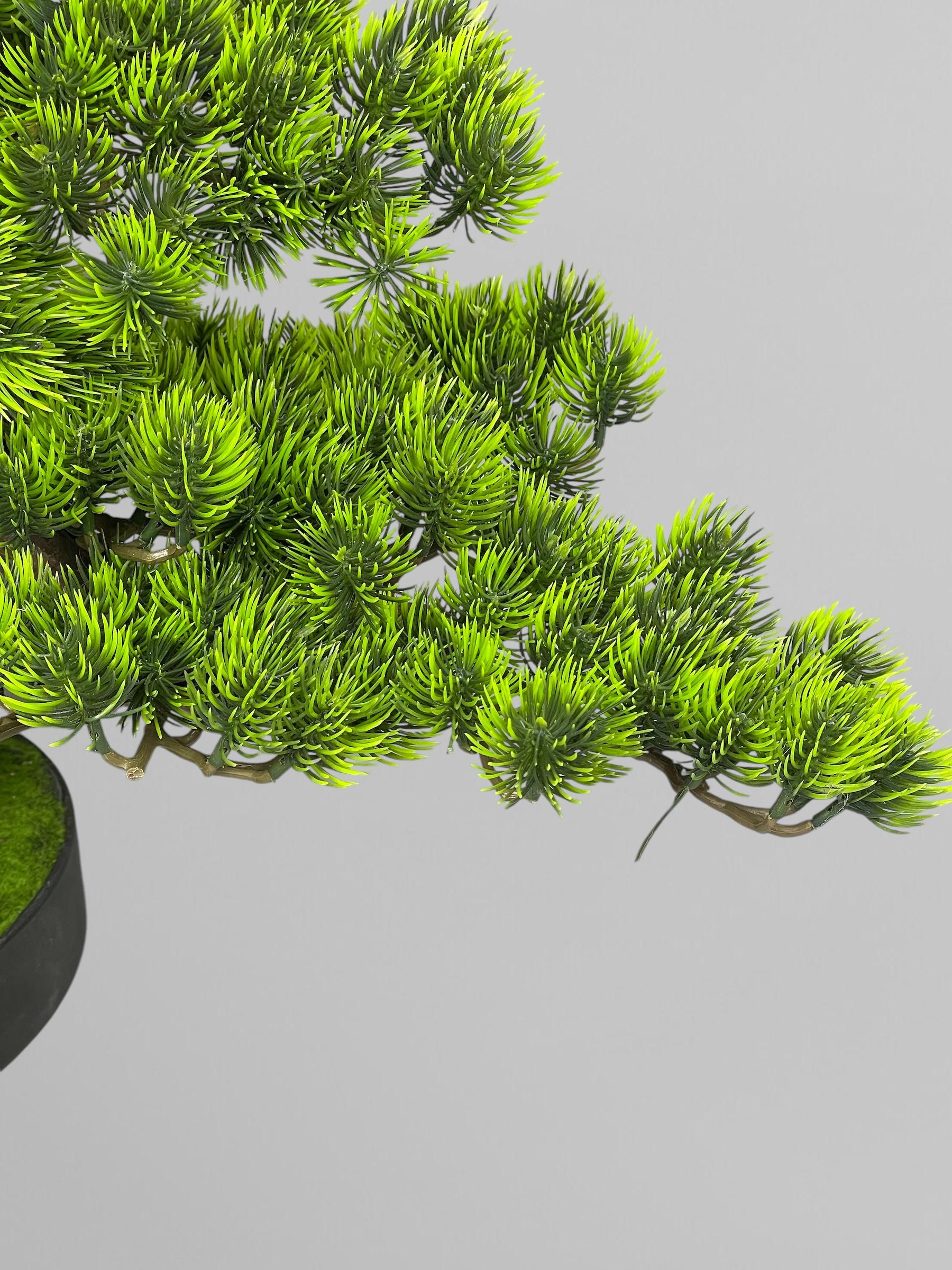 Бонсай 52 см Зеленый (Б007) - фото 5 Бонсай 52 см Зеленый (Б007) - фото 5