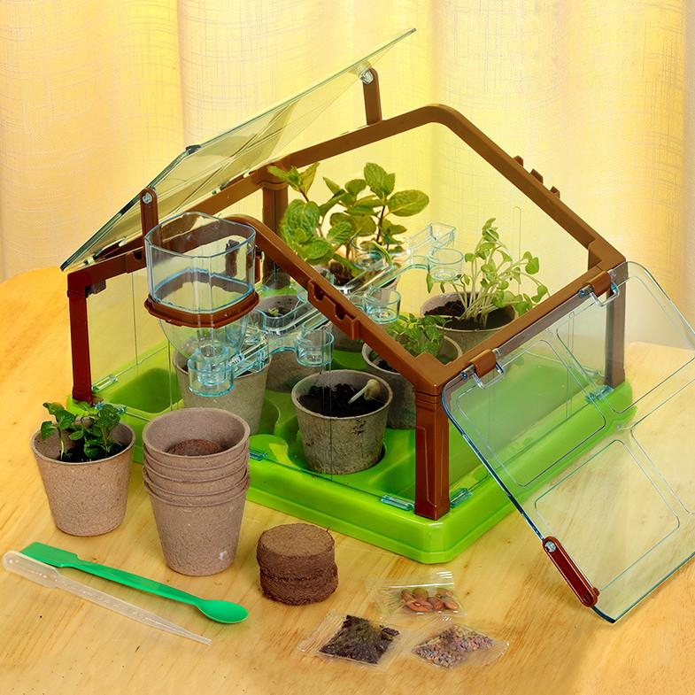Игровой набор для выращивания растений Ботанические эксперименты (78522)