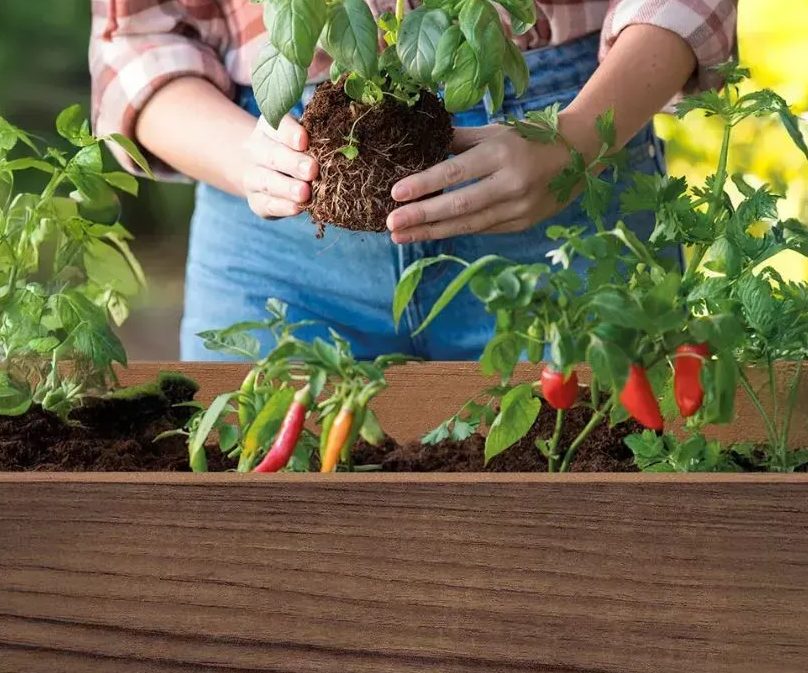 Цветочный горшок Keter Darwin Deco 110 л Орех (261042) - фото 5 Цветочный горшок Keter Darwin Deco 110 л Орех (261042) - фото 5