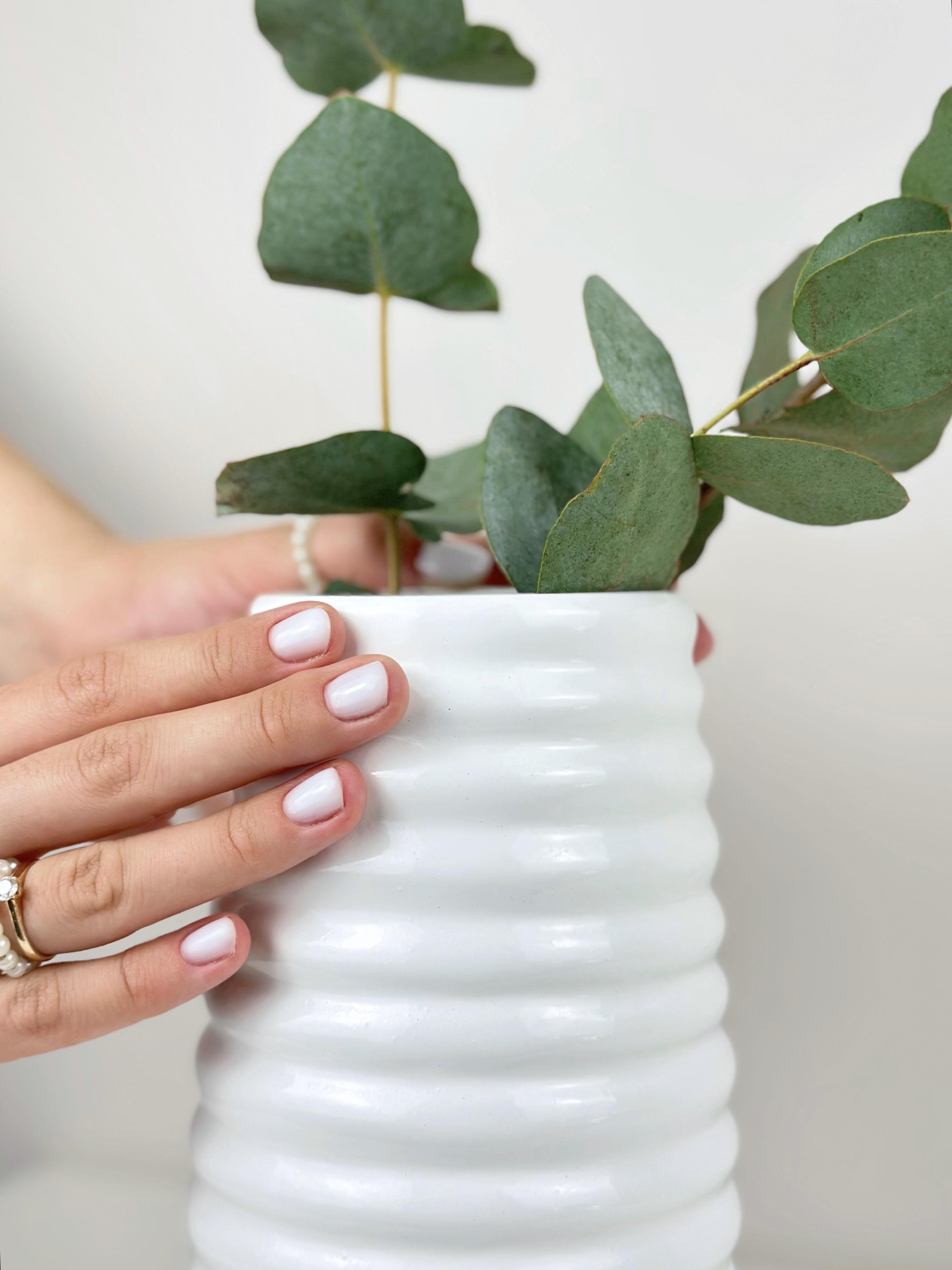 Ваза для квітів та декору глиняна керамічна Вулик 20 см Білий (4001-3) - фото 7 Ваза для квітів та декору глиняна керамічна Вулик 20 см Білий (4001-3) - фото 7