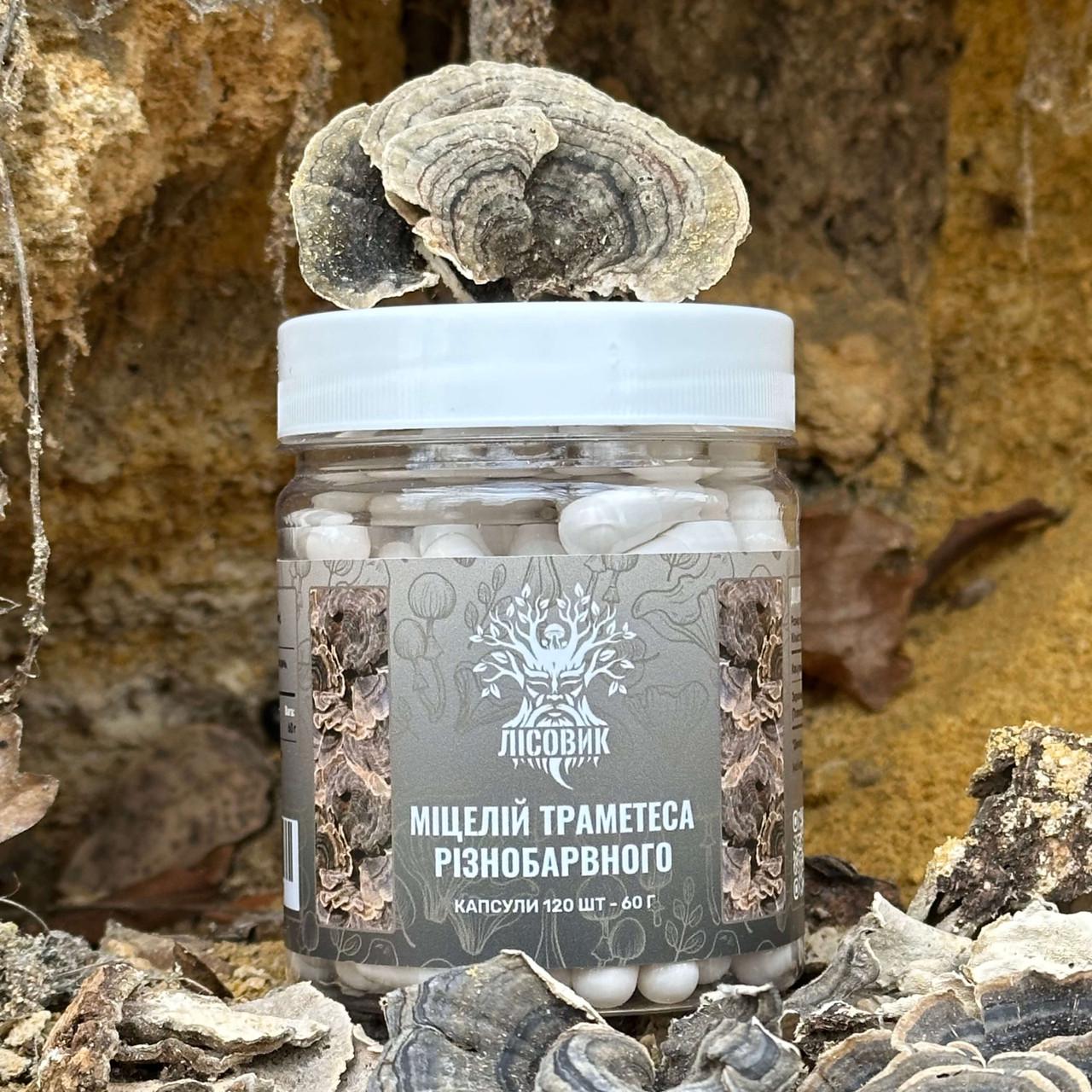 Капсули Лісовик міцелію Траметеса різноколірного 120 шт. по 0,5 г (481499)