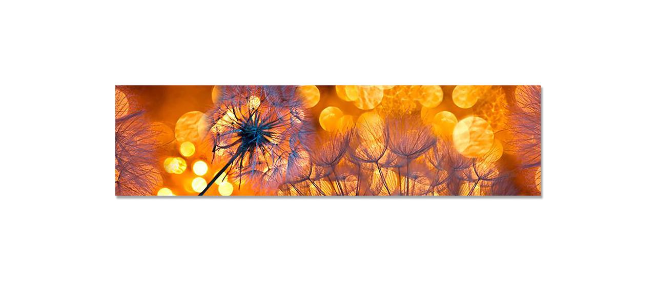 Наклейка виниловая 3D Zatarga Одуванчики на закате 650х2500 мм (1262637280)