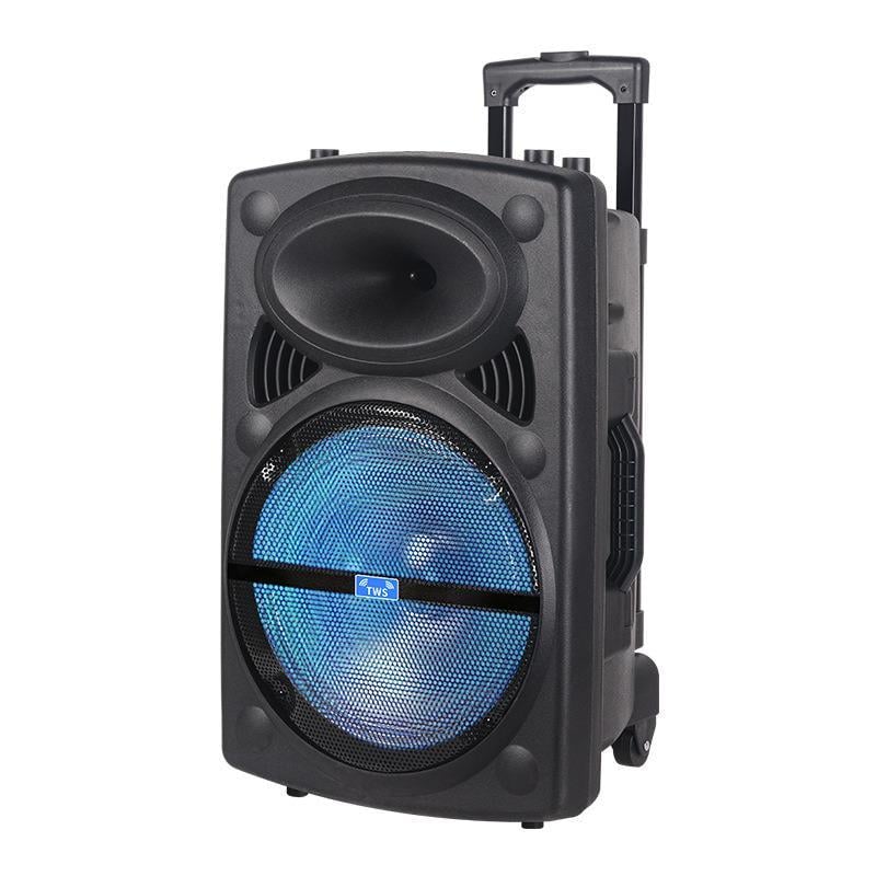 Профессиональная акустическая система Winso NDR-12-12"x1 RGB с караоке микрофоном и пультом (936cad22)