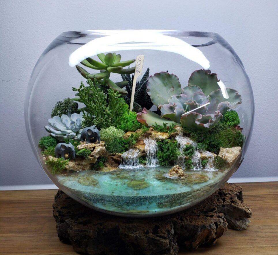 Флораріум із сукулентами та імітацією водойми Дика природа 26 см