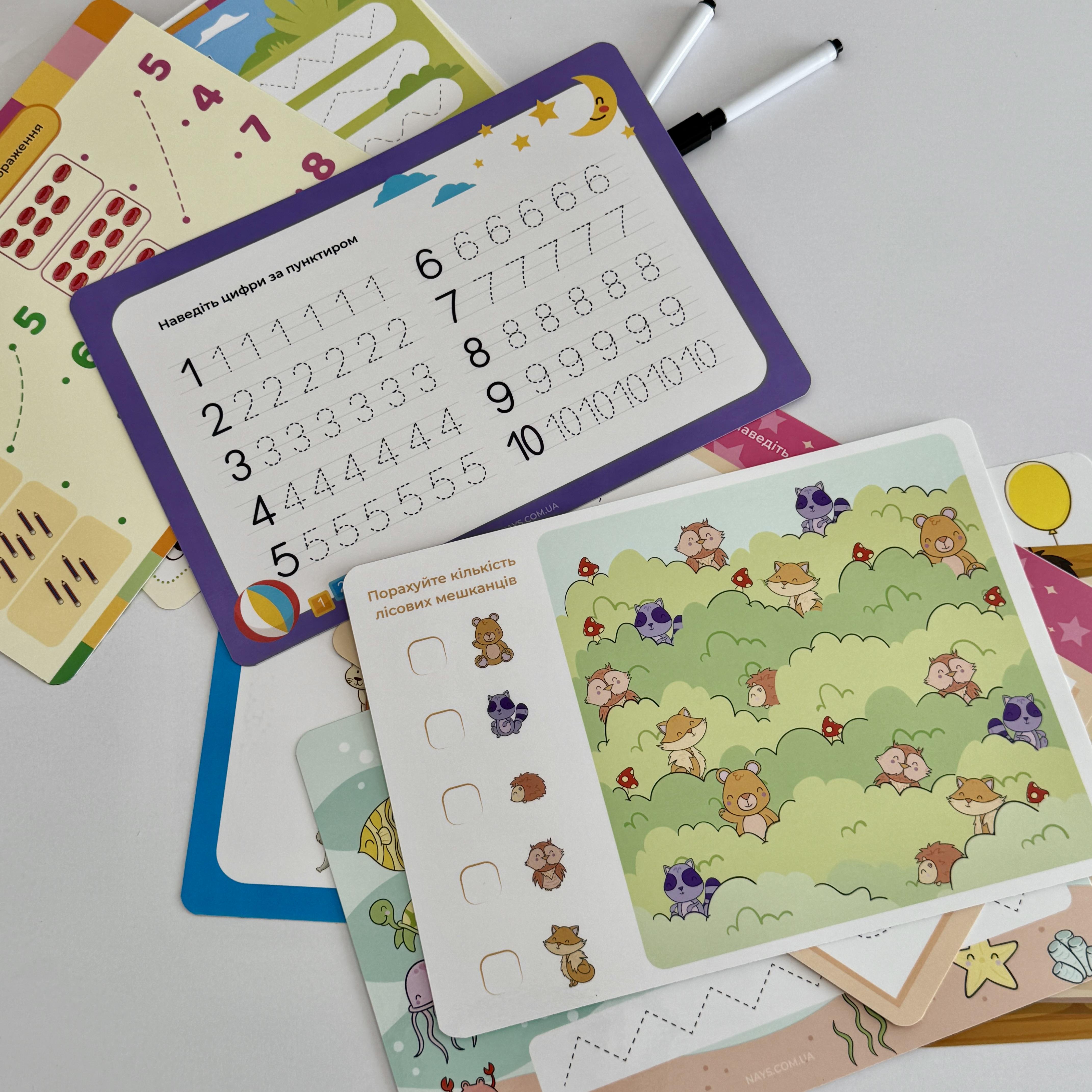 Многоразовые карты А4 "Пиши-Стирай" для детей с заданиями/два маркера - фото 10 Многоразовые карты А4 "Пиши-Стирай" для детей с заданиями/два маркера - фото 10