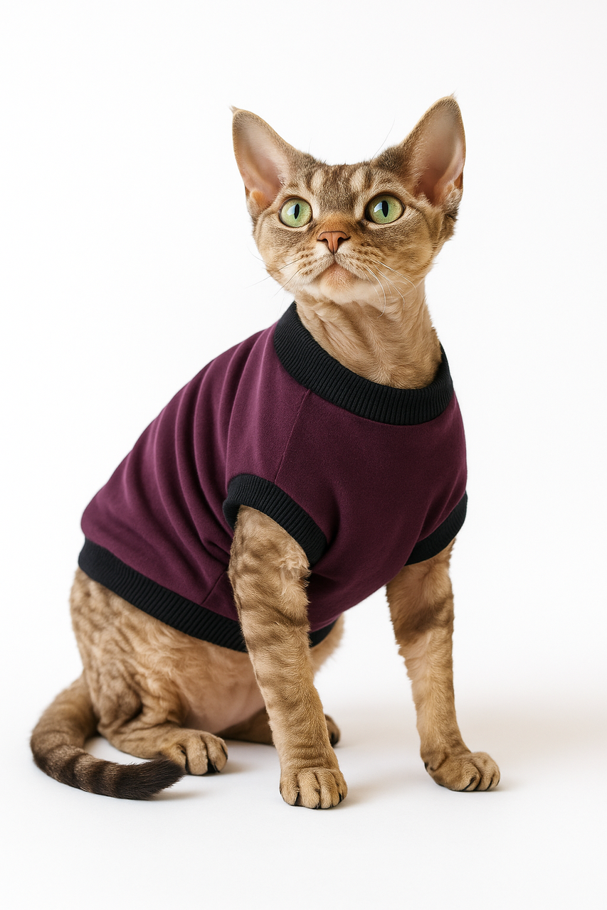 Кофта для котів Diego р. 4 Бордовий (124182192) Кофта для котів Diego р. 4 Бордовий (124182192)