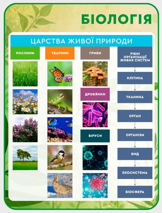Стенд для навчальних закладів "Біологія-царства живої природи" 600х800 мм (КВ0016)
