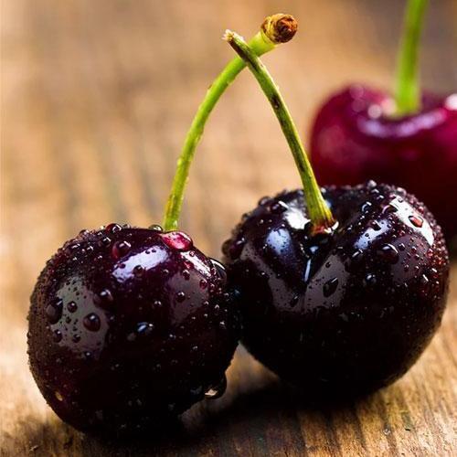 Саджанець Ексклюзив Вишня темно-бордова Блаженство Bliss угорська селекція преміальний високоякісний сорт (43991)