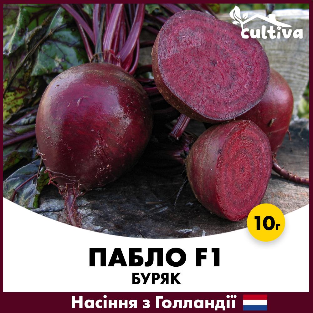 Семена свеклы Bejo Пабло F1 10г (B13-10)