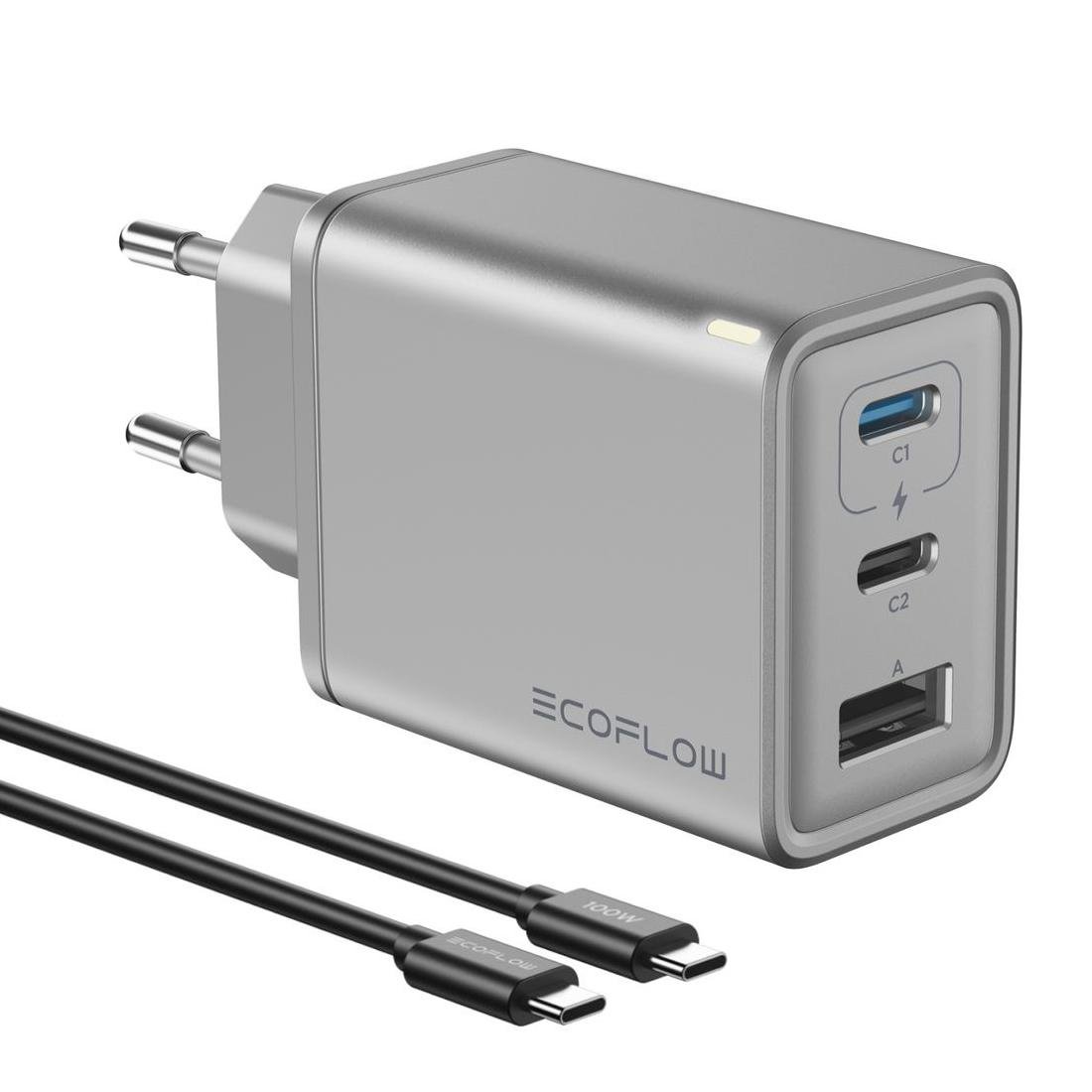 Блок живлення для швидкого заряджання EcoFlow RAPID 65W GaN Gray (EFA-65W-GAN-CHARGER-EU)