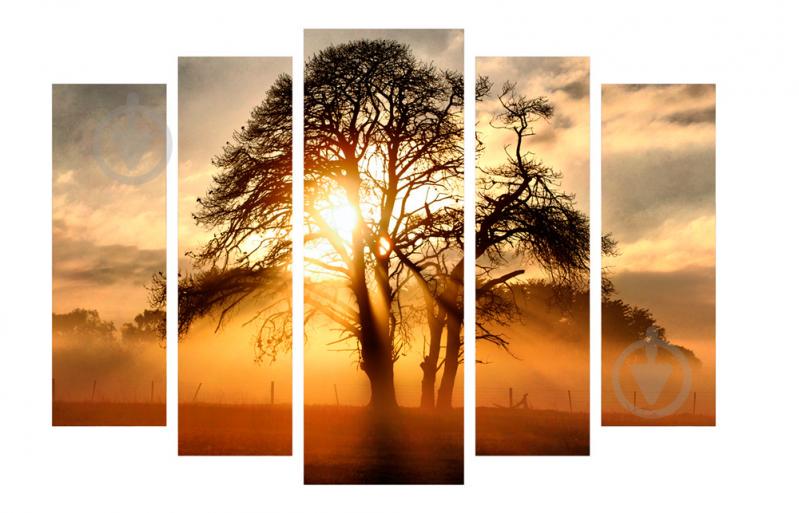 Модульная картина Декор Карпаты 120х80 см Дерево (M5-52)