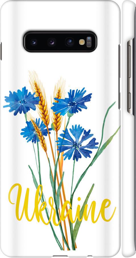 Чехол на Samsung Galaxy S10 Plus Ukraine v2 (5445m-1649-42517)
