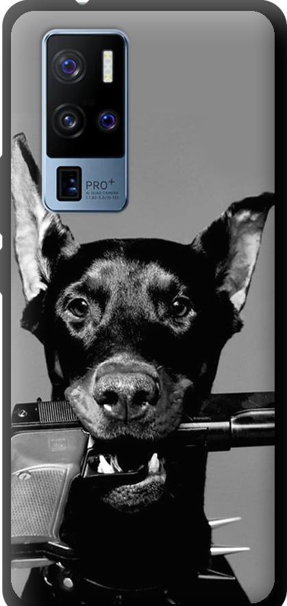 Чехол на Vivo X50 Pro Plus Доберман (2745b-2056-42517)