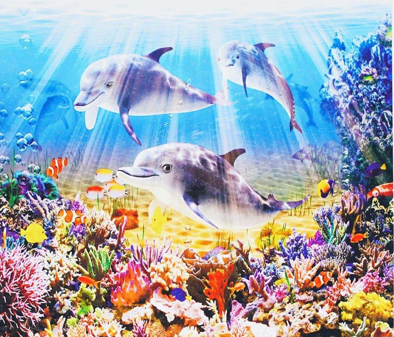 Алмазная мозаика-картина по номерам TK Group B 78706/30 Дельфины в коробке 40х50 см (24711874)