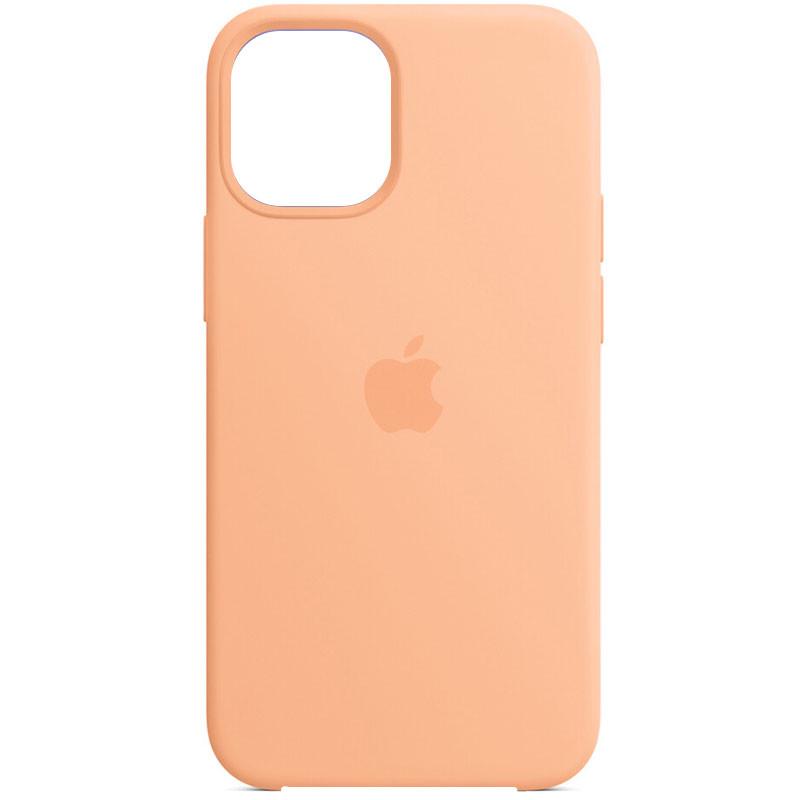 Противоударный Чехол Silicone Case AA для Apple iPhone 12 Pro Max 6.7" Оранжевый/Cantaloupe