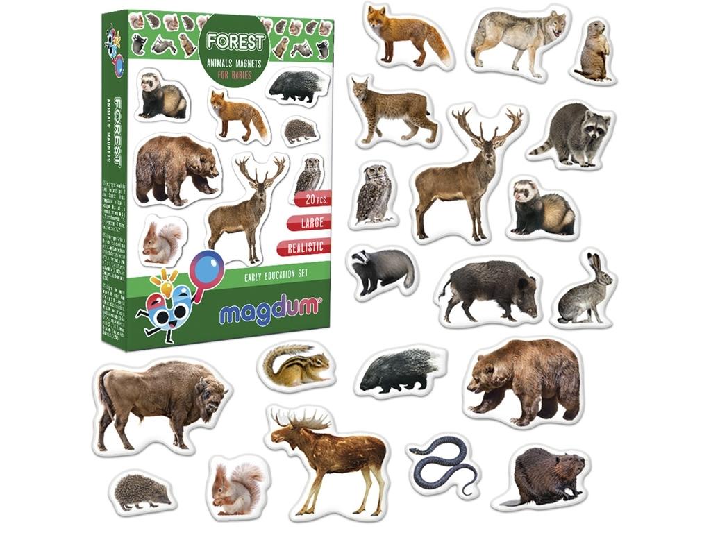 Набір магнітів Лісові тварини Magdum ML4031-29 EN Forest animals magnets (4112)